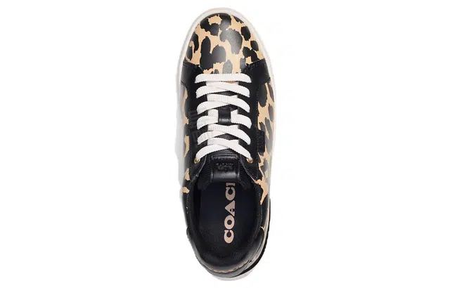 COACH Lowline