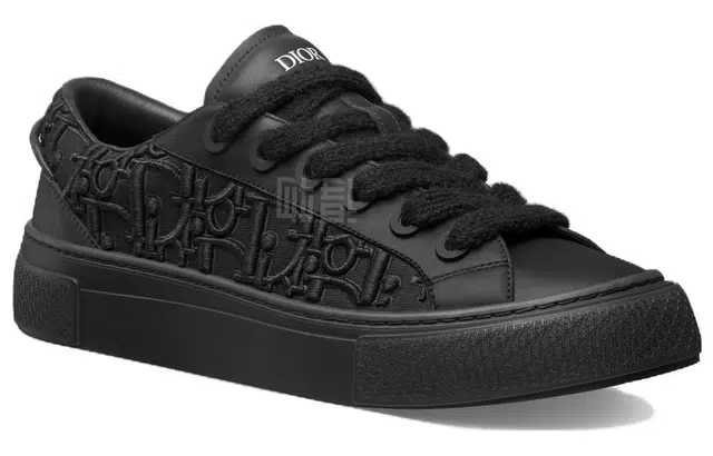 DIOR B33