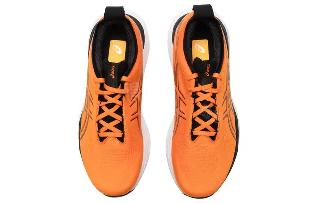 Asics GEL-Nimbus 25