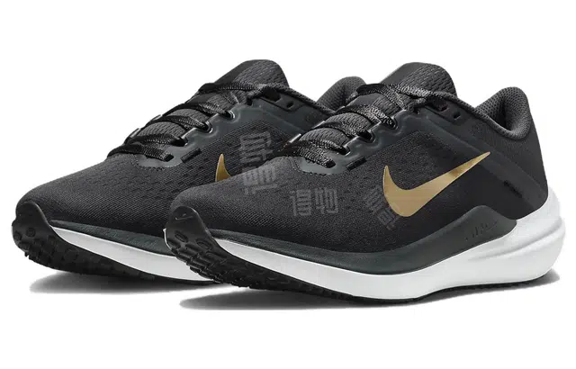 Nike Air Winflo 10