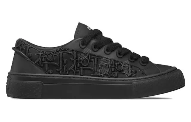 DIOR B33