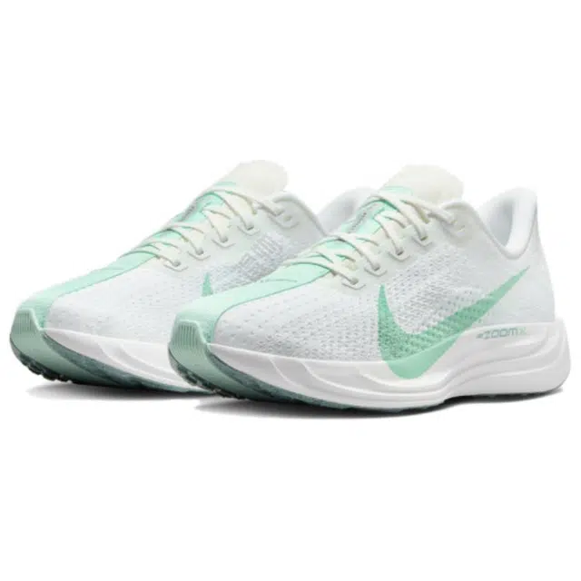 Nike Pegasus Plus