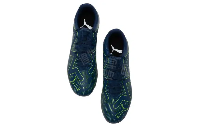 PUMA MG
