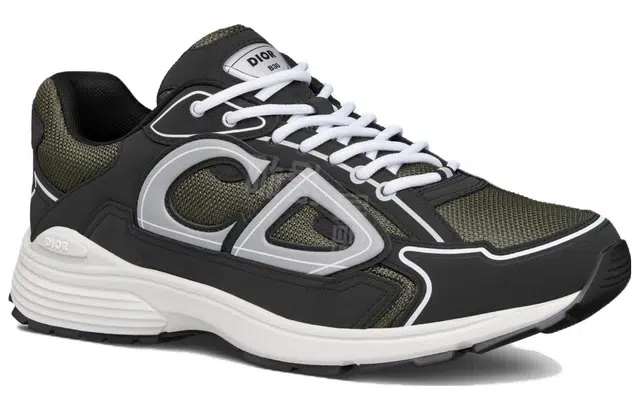 DIOR B30