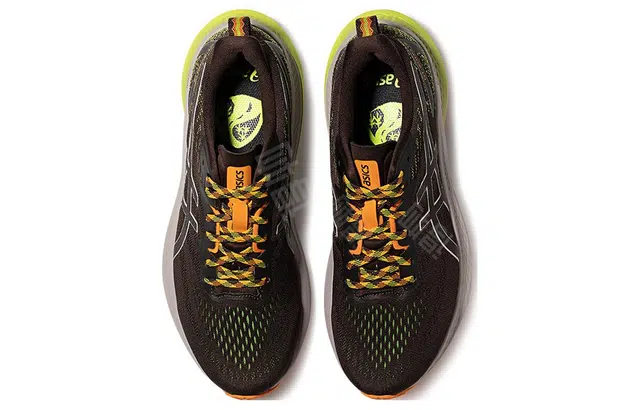 Asics GT-2000 12