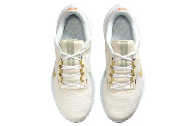 Nike Air Winflo 10