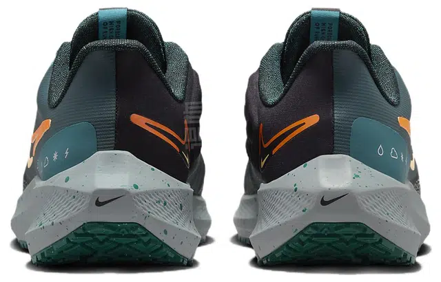 Nike Pegasus 39