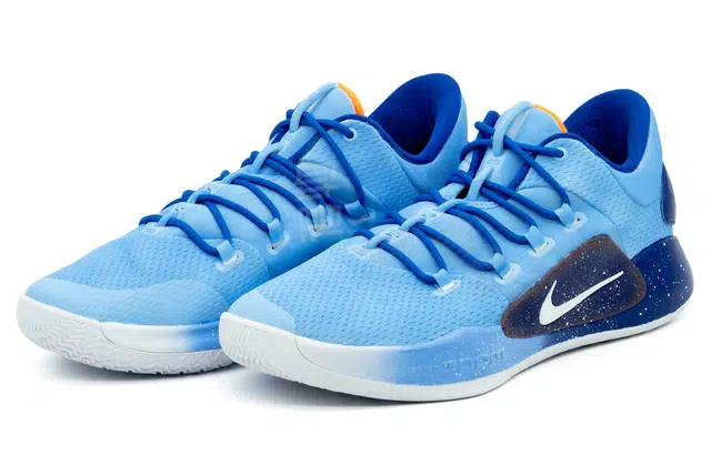 Nike Hyperdunk X Low 10