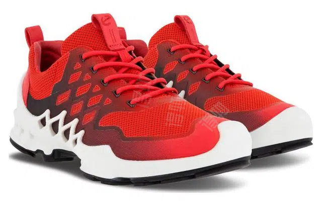 ecco BIOM AEX
