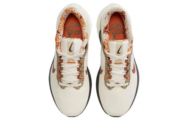 Nike Air Winflo 10