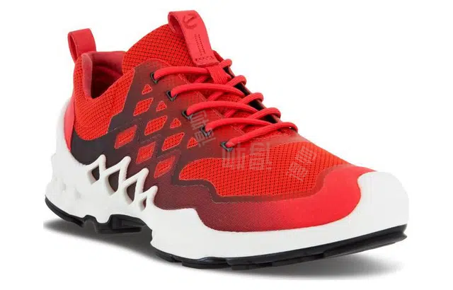 ecco BIOM AEX