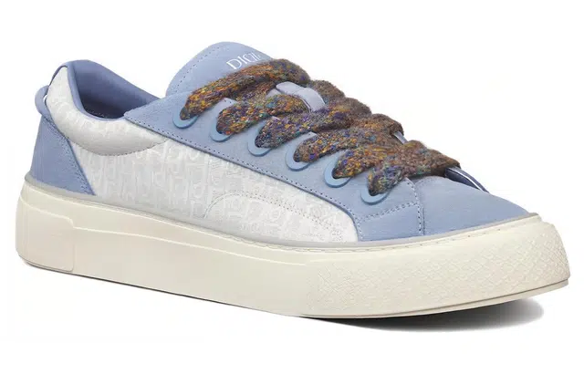 DIOR B33