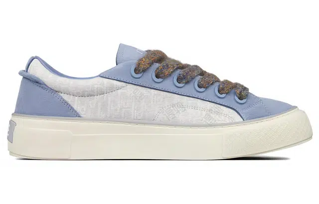 DIOR B33