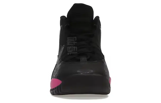 Jordan Air Jordan 10