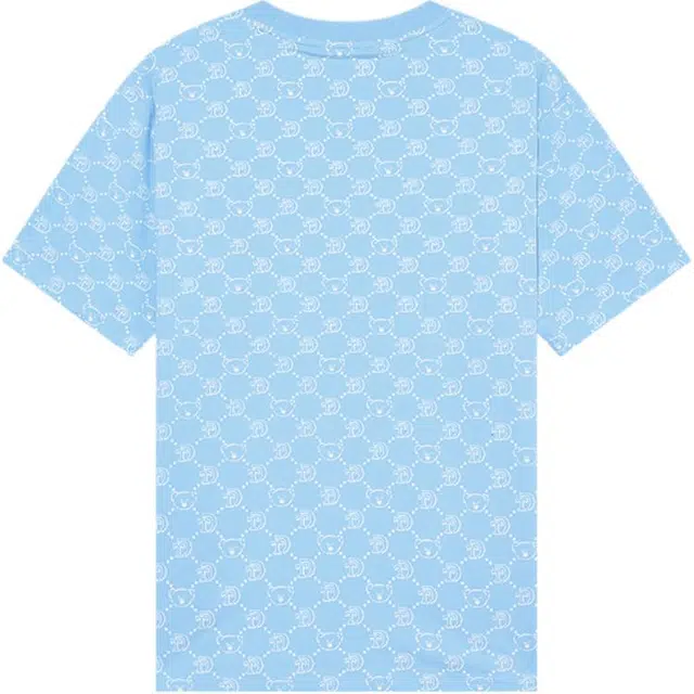 NOISY TEDDY T