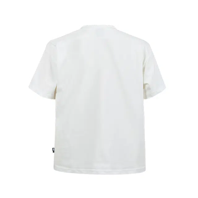 REMEDY T