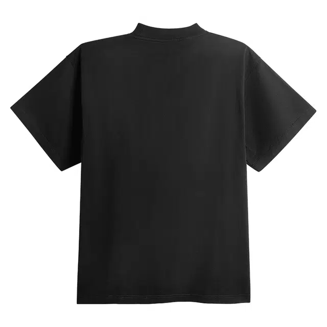 DBW DOUBLEWIN T