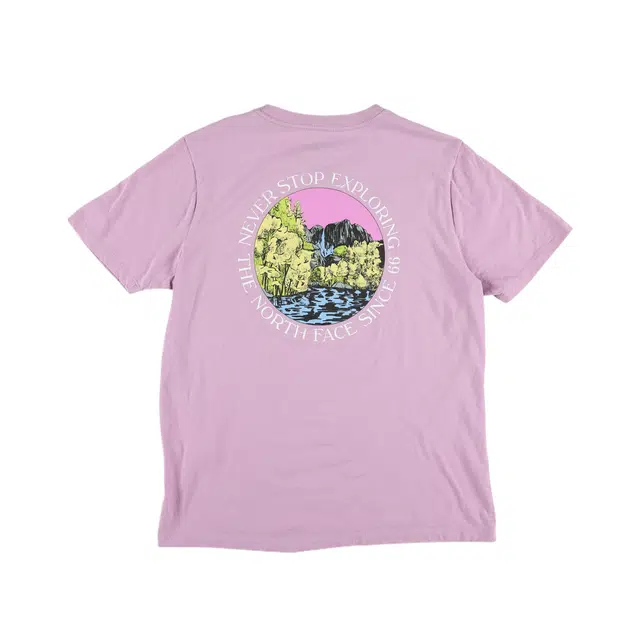 THE NORTH FACE NOVELTY w ss T