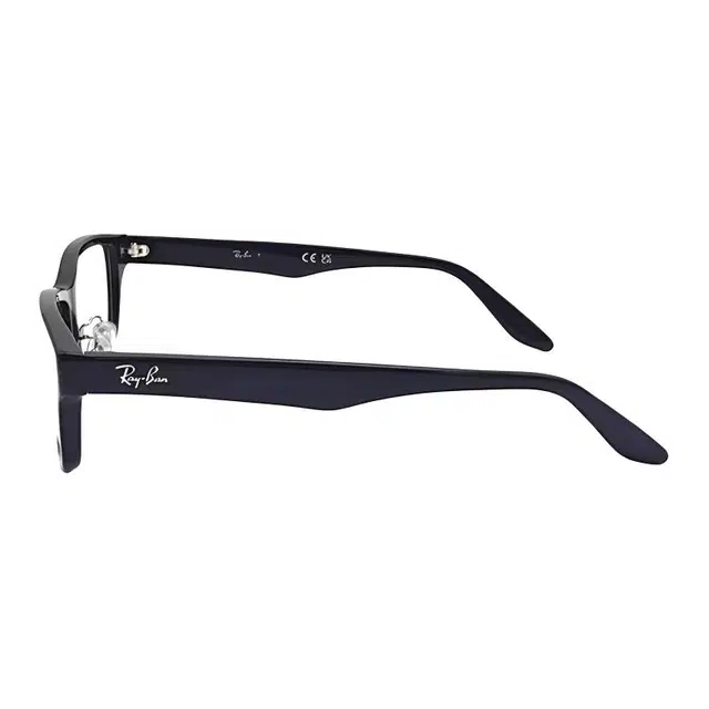 RayBan