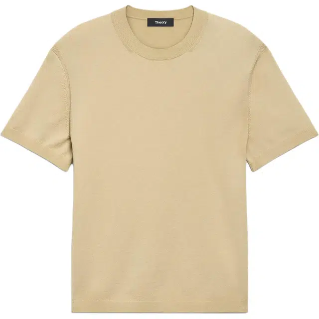THEORY T