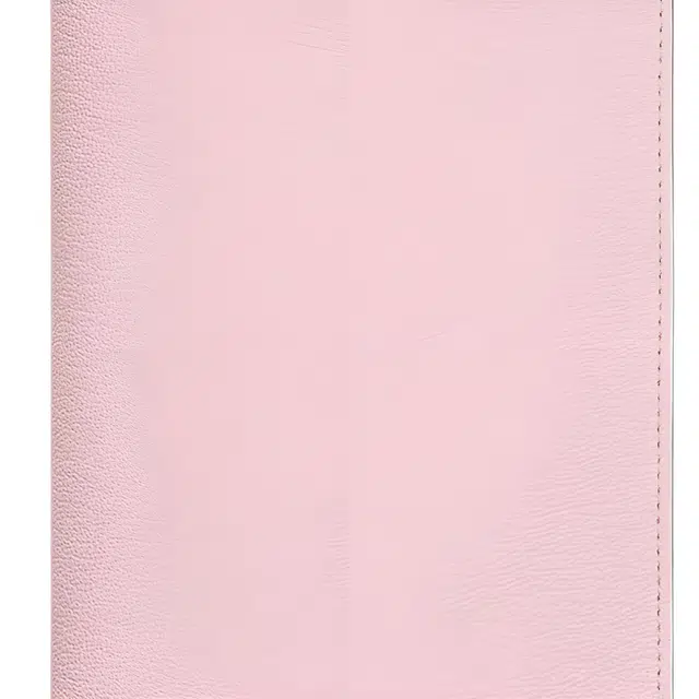 HERMES Vision II Simple Mysore
