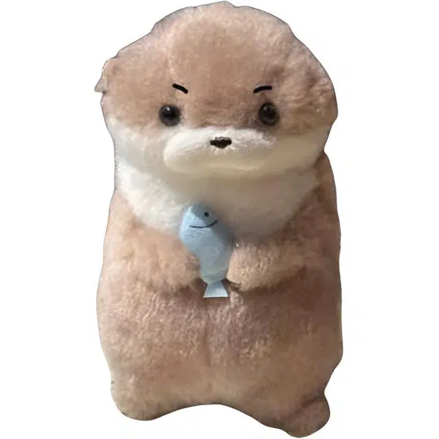 10cm