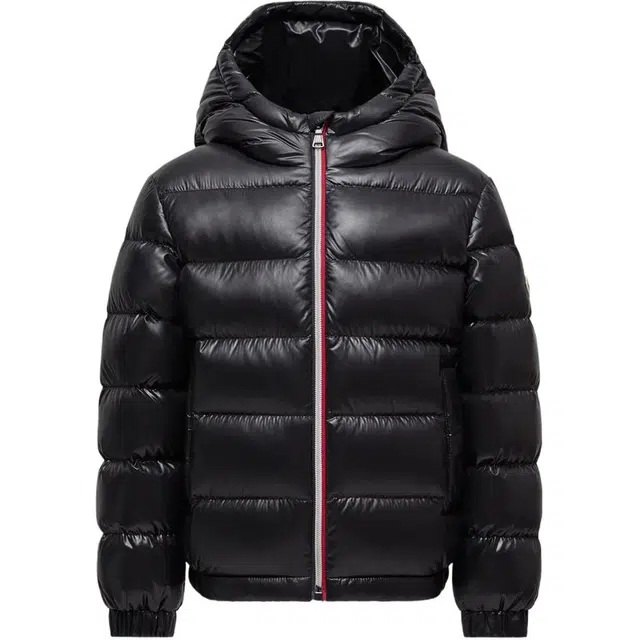 Moncler New Aubert Hooded Down Jacket