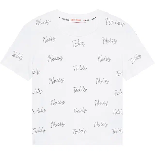 NOISY TEDDY T