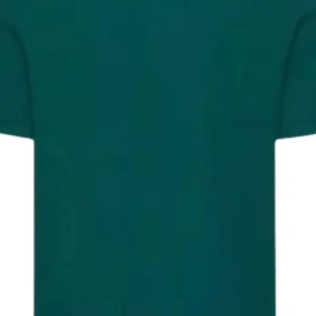 Valentino Polo