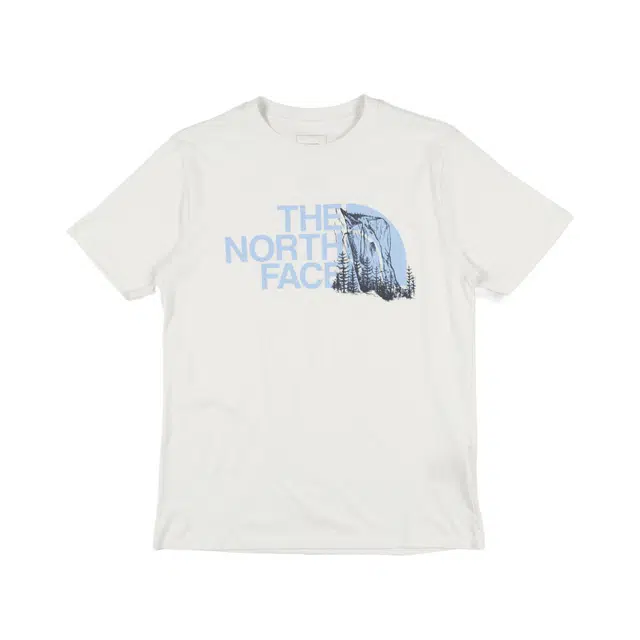 THE NORTH FACE NOVELTY T