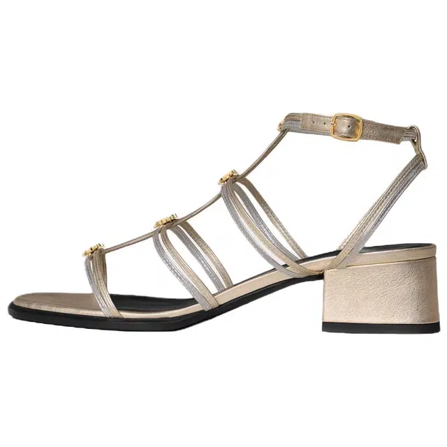 CELINE Clemence Multi Triomphe 4cm