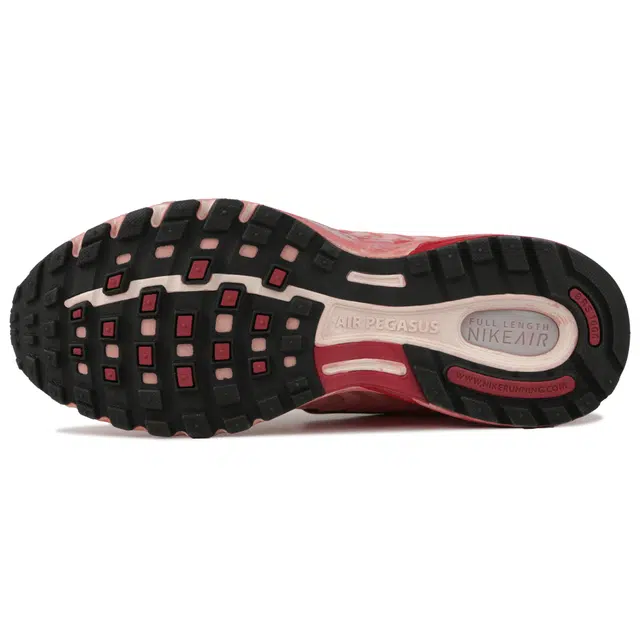 Nike Air Pegasus 2K5 BV