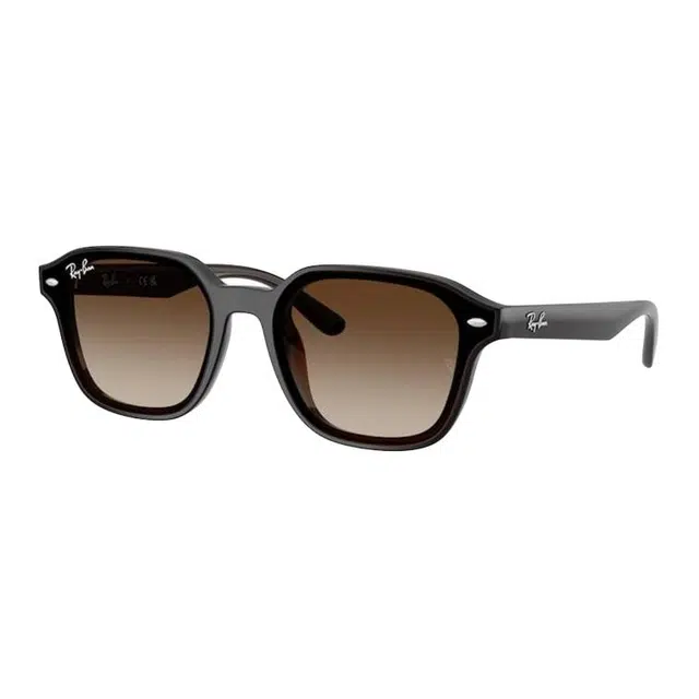 RayBan
