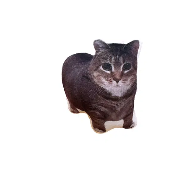 )