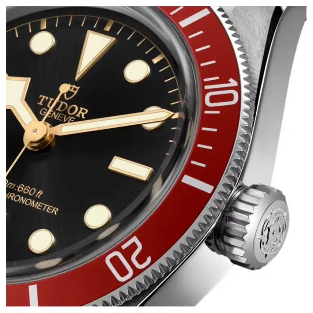 TUDOR 200 41mm M7941A1A0RU-0003