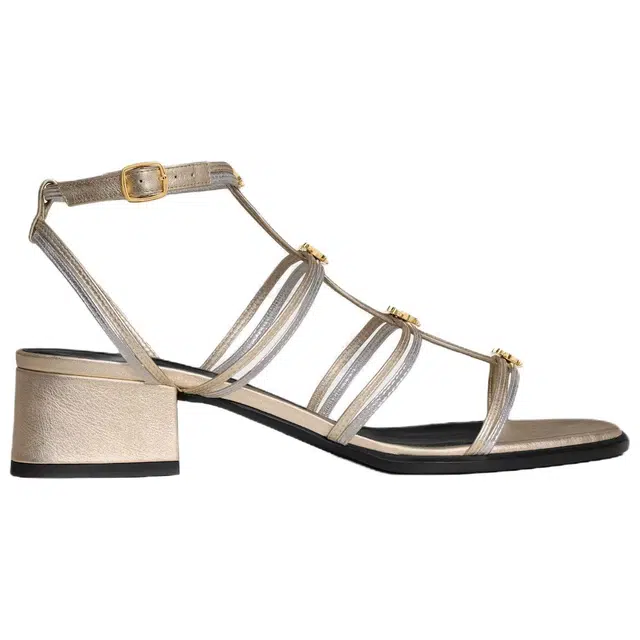 CELINE Clemence Multi Triomphe 4cm