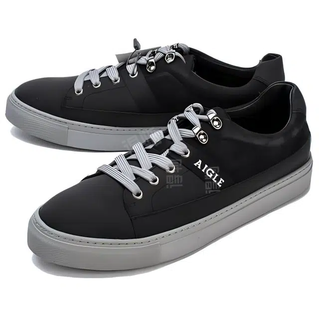 AIGLE