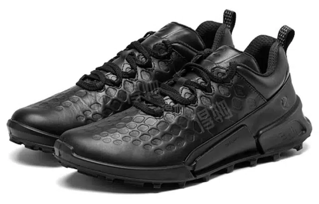 ecco 2.1
