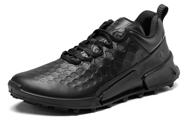 ecco 2.1