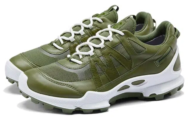 ecco C