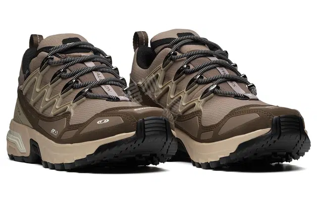 SALOMON ACS + CSWP