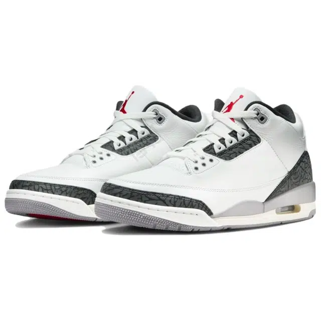 Jordan Air Jordan 3