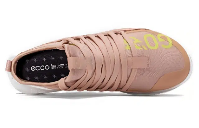 ecco 2.0