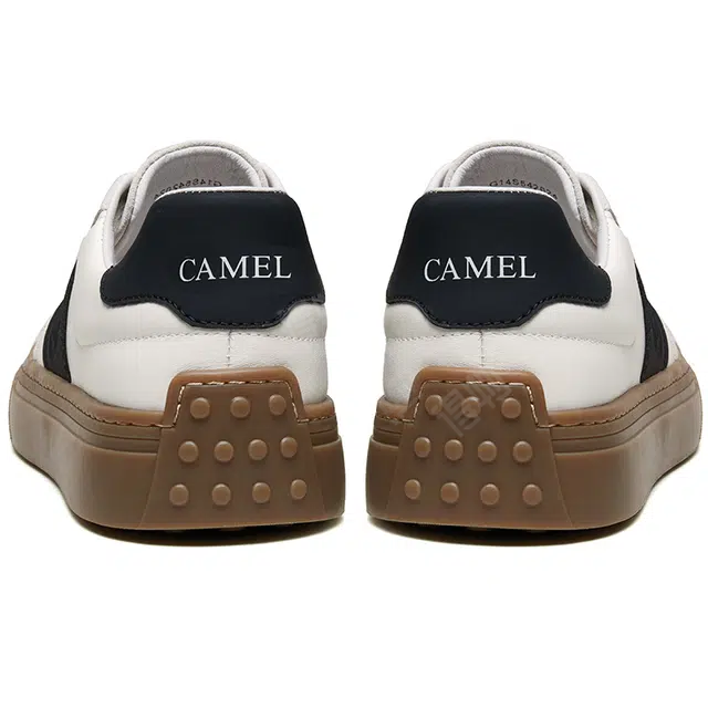 CAMEL