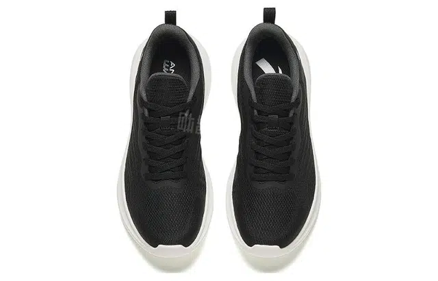 Anta