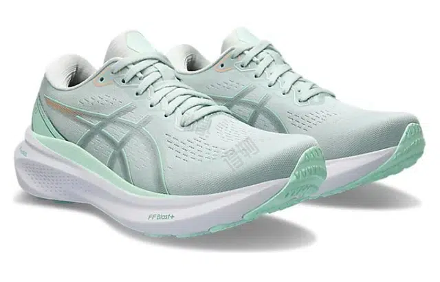 Asics Gel-Kayano 30