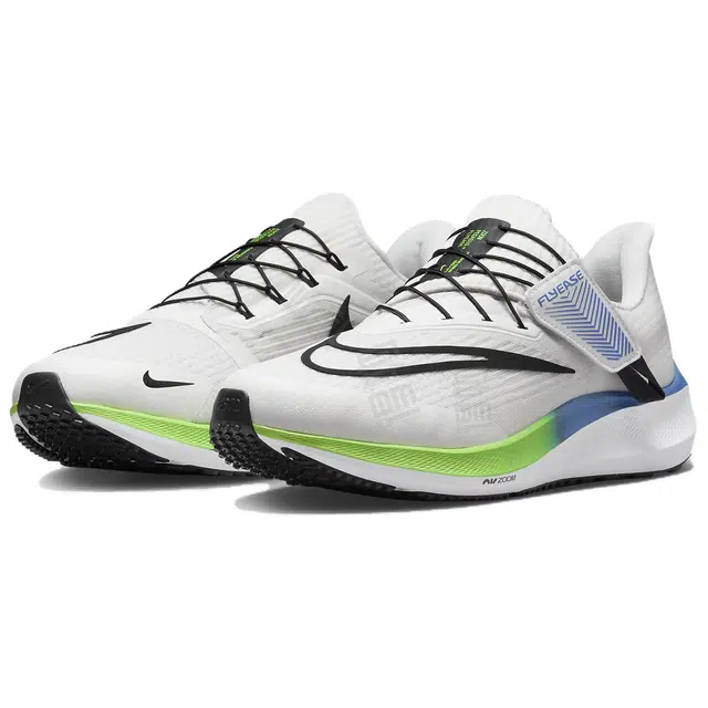 Nike Pegasus FlyEase