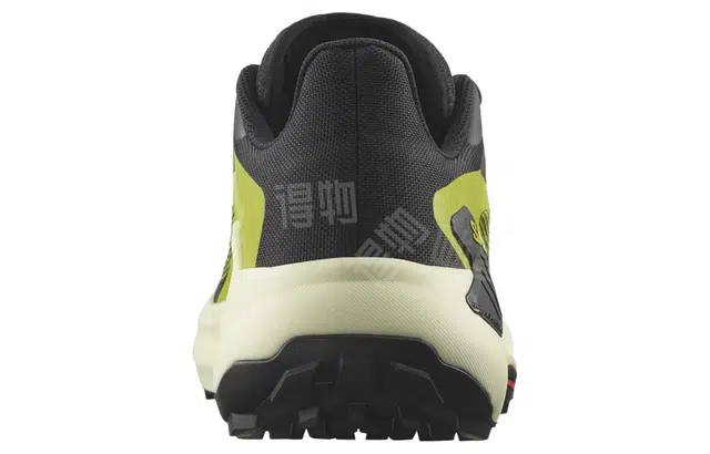 SALOMON Genesis
