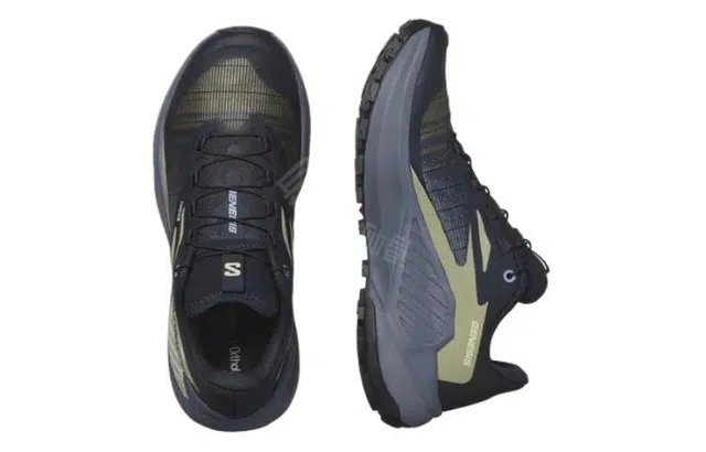 SALOMON GENESIS
