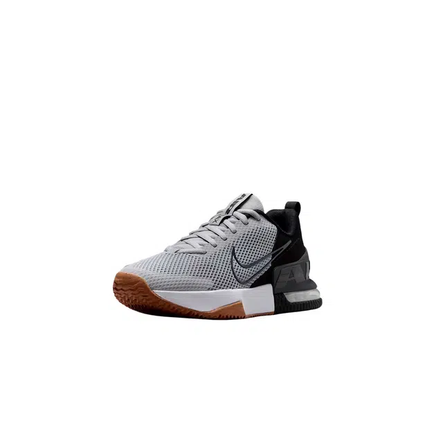 Nike Air Max Alpha Trainer 6